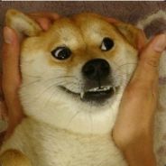 dgj