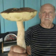 Fungus Provider