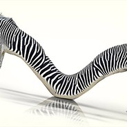 Giraffe Zebra