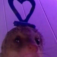 zurdito