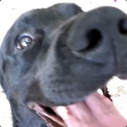 Gordan