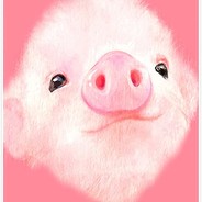 pigfarts