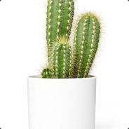 Cactus