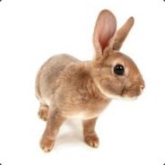 S.C.C.H][Rabbit's Avatar