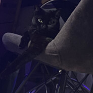 Steam profile avatar of 33333333333333333333333333333333