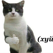 Бархат