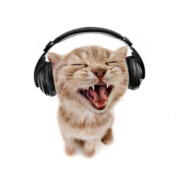 КОСТЯ-НЫЧ