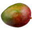MangoForest