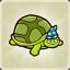 Turtle Hermit