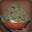 Group Avatar