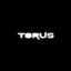 Torus