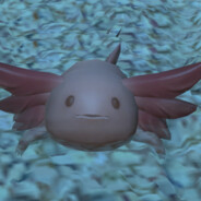 꼬울