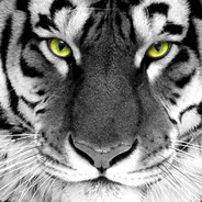 Tiger0112