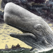 The_White_Whale avatar