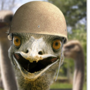Weaponised Emu