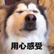 记得潮汐's Avatar