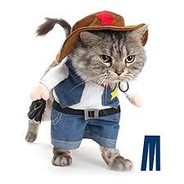 Cat Guy