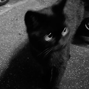 Steam profile avatar of X