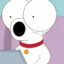 Brian Griffin