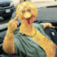 BigBird