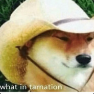 What In Ternation