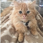 Jinx
