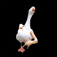 Mr. Duck