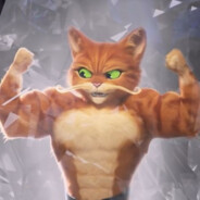 bol pus