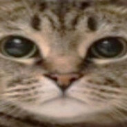 catontheblock