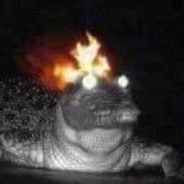Gator