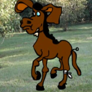 Mr.Mulinha