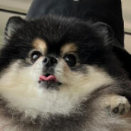 thebuweh