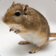 small gerbil