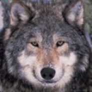 Uncle Wolf