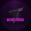 borudor7