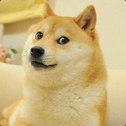 李时珍的皮