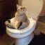 Pudge in real life