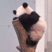 迷恋