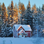 Egor G. 5V-4765 ASDSGI