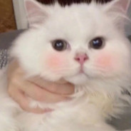 妜