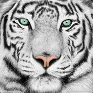 托尼斯塔克88's Avatar