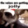Group Avatar
