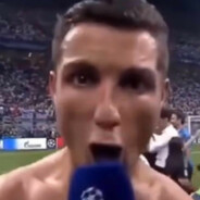 Сладкая киса