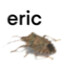 eric