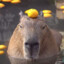 ComposedCapybara