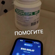 Котики