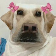 tobyB