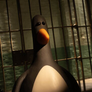 Feather Mcgraw