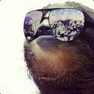 CARESS MY GLISTENING CHEST HAIR's Avatar