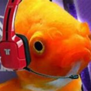 GamerFish